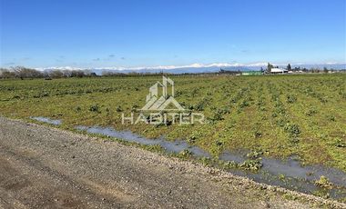 Parcela en Venta en Pangue Abajo