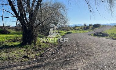 Parcela en Venta en Pangue Abajo