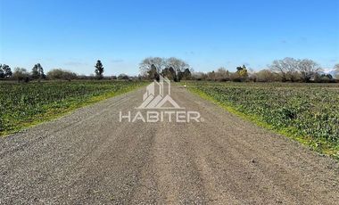 Parcela en Venta en Pangue Abajo
