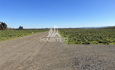 Parcela en Venta en Pangue Abajo
