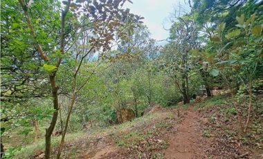 VENDO FINCA DE 2.5 HECTAREAS EN BOQUETE