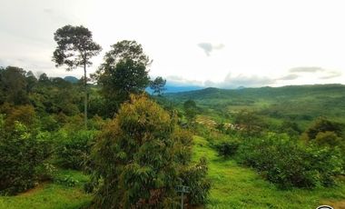 Tanah Kavling Murah dalam Perkebunan Terpadu di Bogor