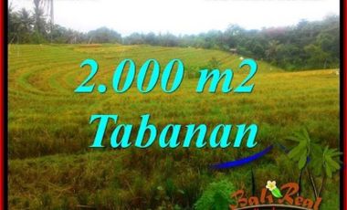 View Laut Gunung & sawah Murah 750 rb/m di Tabanan Selemadeg