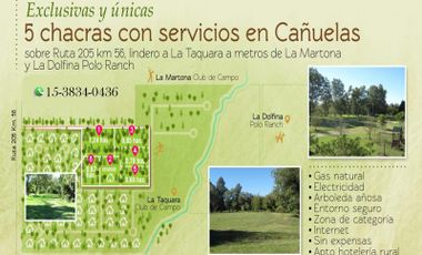 Campo - Cañuelas