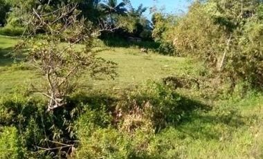 For Sale Rawland 3.2 Hectares Lot in Busay Cebu City