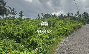 Dijual Tanah Strategis Cocok Untuk Perumahan di Rogojampi Banyuwangi