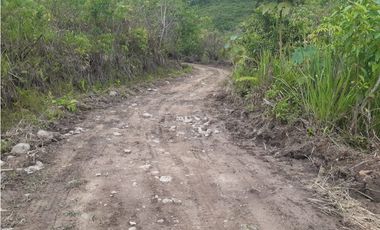 VENDO FINCA DE 1 HA. EN SAN RAMÓN - CHANCHAMAYO