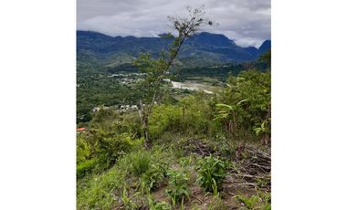 VENDO FINCA DE 1 HA. EN SAN RAMÓN - CHANCHAMAYO