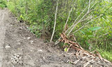 VENDO FINCA DE 1 HA. EN SAN RAMÓN - CHANCHAMAYO