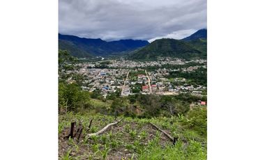 VENDO FINCA DE 1 HA. EN SAN RAMÓN - CHANCHAMAYO