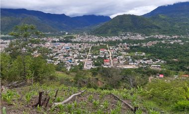 VENDO FINCA DE 1 HA. EN SAN RAMÓN - CHANCHAMAYO