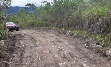 VENDO FINCA DE 1 HA. EN SAN RAMÓN - CHANCHAMAYO