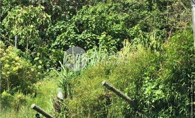 Lote en arriendo, Estación Uribe, Manizales