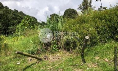 Lote en arriendo, Estación Uribe, Manizales