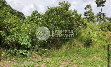 Lote en arriendo, Estación Uribe, Manizales