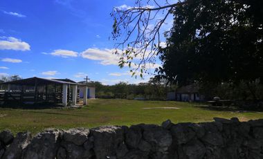 Venta Rancho ganadero  en panaba yalsihon  de 135 has (dzilam gonzalez) yucatan