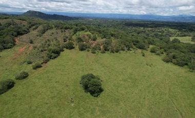VENDO TERRENO DE 5 HECTAREAS PLANAS