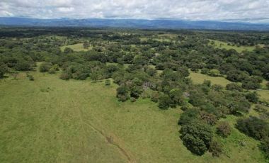 VENDO TERRENO DE 5 HECTAREAS PLANAS