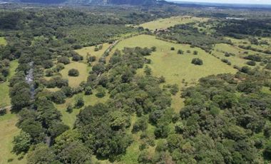 VENDO TERRENO DE 5 HECTAREAS PLANAS