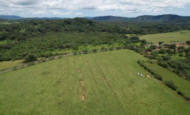 VENDO TERRENO DE 5 HECTAREAS PLANAS