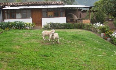 Terrenos Comerciales Venta CAL. Quinta Mercedes - CUSCO