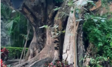 Hermoso departamento inmerso en la naturaleza