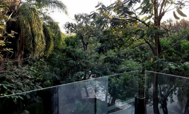 Hermoso departamento inmerso en la naturaleza