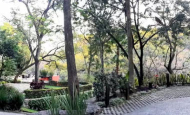 Hermoso departamento inmerso en la naturaleza