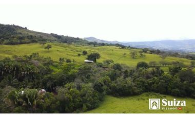 Proyecto Residencial - Lotes desde 500 m2 en venta - Lamas - Zapatero