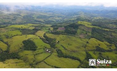 Proyecto Residencial - Lotes desde 500 m2 en venta - Lamas - Zapatero