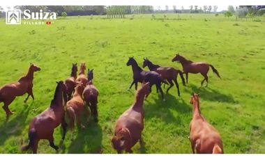 Proyecto Residencial - Lotes desde 500 m2 en venta - Lamas - Zapatero