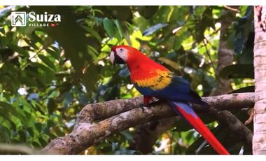 Proyecto Residencial - Lotes desde 500 m2 en venta - Lamas - Zapatero