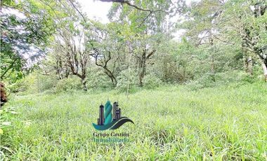 VENDO UNA HECTAREA A SEGREGAR A 1320M.S.N.M.