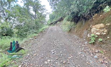 VENDO UNA HECTAREA A SEGREGAR A 1320M.S.N.M.