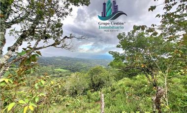 VENDO UNA HECTAREA A SEGREGAR A 1320M.S.N.M.