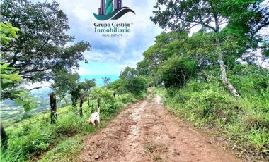 VENDO UNA HECTAREA A SEGREGAR A 1320M.S.N.M.