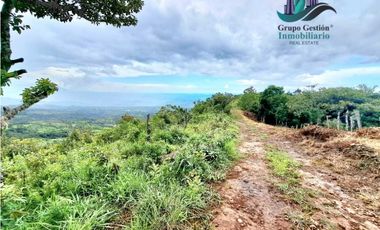 VENDO UNA HECTAREA A SEGREGAR A 1320M.S.N.M.