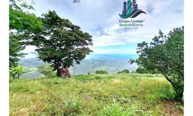 VENDO UNA HECTAREA A SEGREGAR A 1320M.S.N.M.