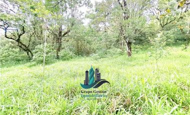 VENDO UNA HECTAREA A SEGREGAR A 1320M.S.N.M.