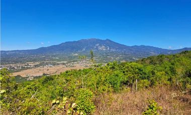 VENDO UNA HECTAREA A SEGREGAR A 1320M.S.N.M.