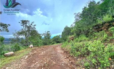 VENDO UNA HECTAREA A SEGREGAR A 1320M.S.N.M.