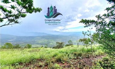 VENDO UNA HECTAREA A SEGREGAR A 1320M.S.N.M.