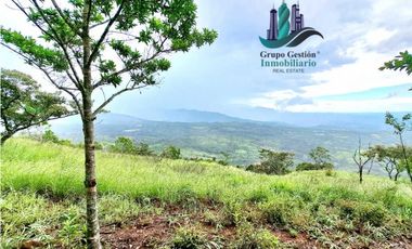 VENDO UNA HECTAREA A SEGREGAR A 1320M.S.N.M.