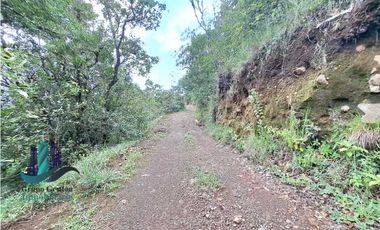 VENDO UNA HECTAREA A SEGREGAR A 1320M.S.N.M.