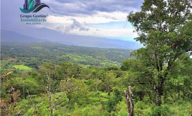 VENDO UNA HECTAREA A SEGREGAR A 1320M.S.N.M.