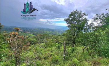 VENDO UNA HECTAREA A SEGREGAR A 1320M.S.N.M.