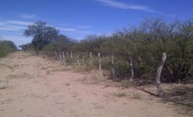 VENDO ESTABLECIMIENTO AGROPECUARIO EN CHAMICAL