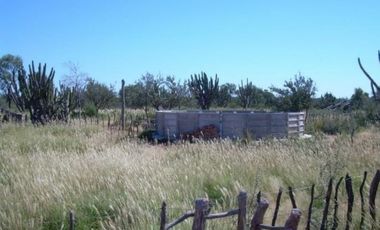VENDO ESTABLECIMIENTO AGROPECUARIO EN CHAMICAL