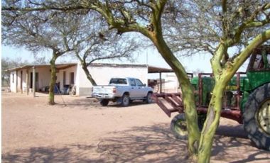 VENDO ESTABLECIMIENTO AGROPECUARIO EN CHAMICAL