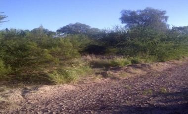 VENDO ESTABLECIMIENTO AGROPECUARIO EN CHAMICAL